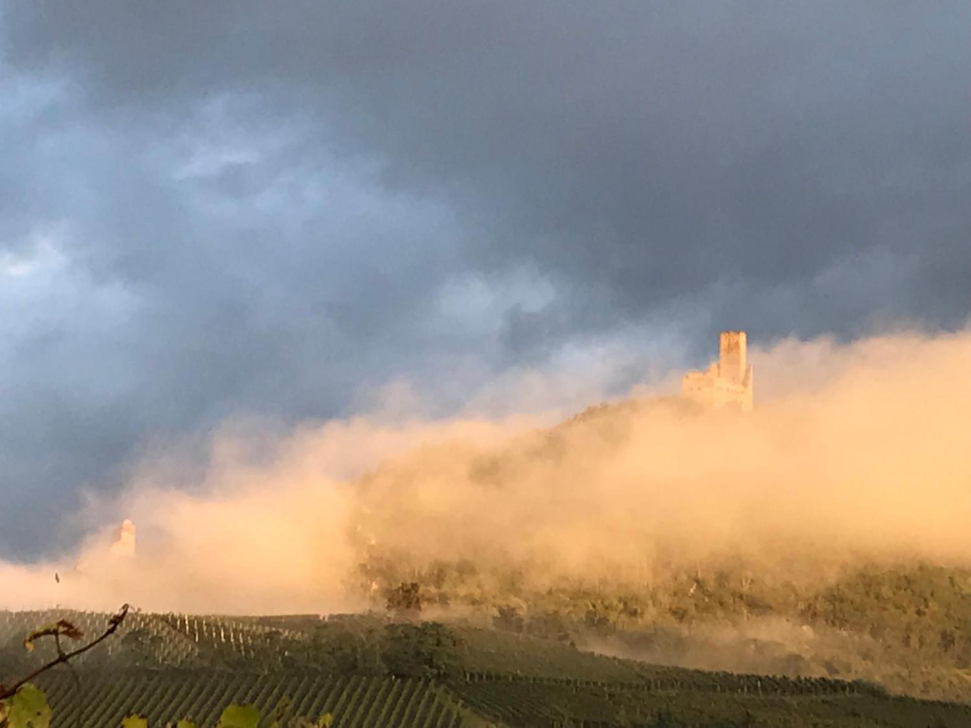 Appartamento Le Logis Du Vignoble Kintzheim Esterno foto