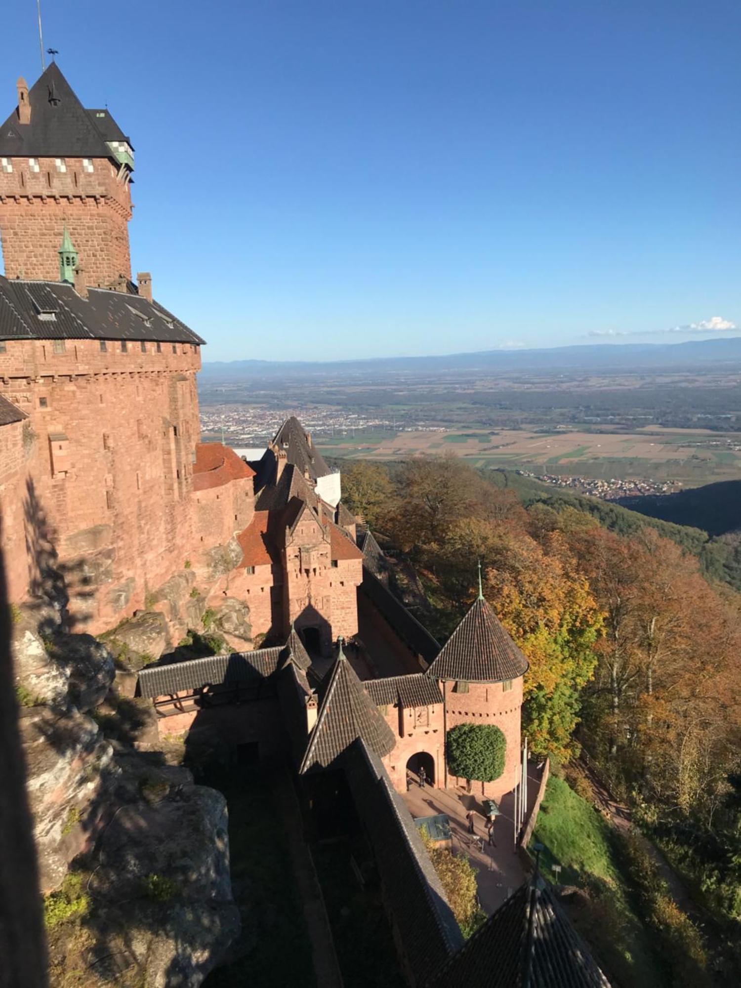 Appartamento Le Logis Du Vignoble Kintzheim Esterno foto